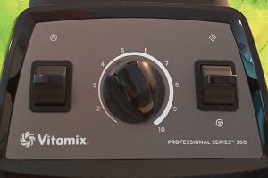 Vitamix Pro 300